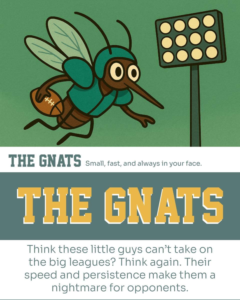 Hawx Pest Control tweet media