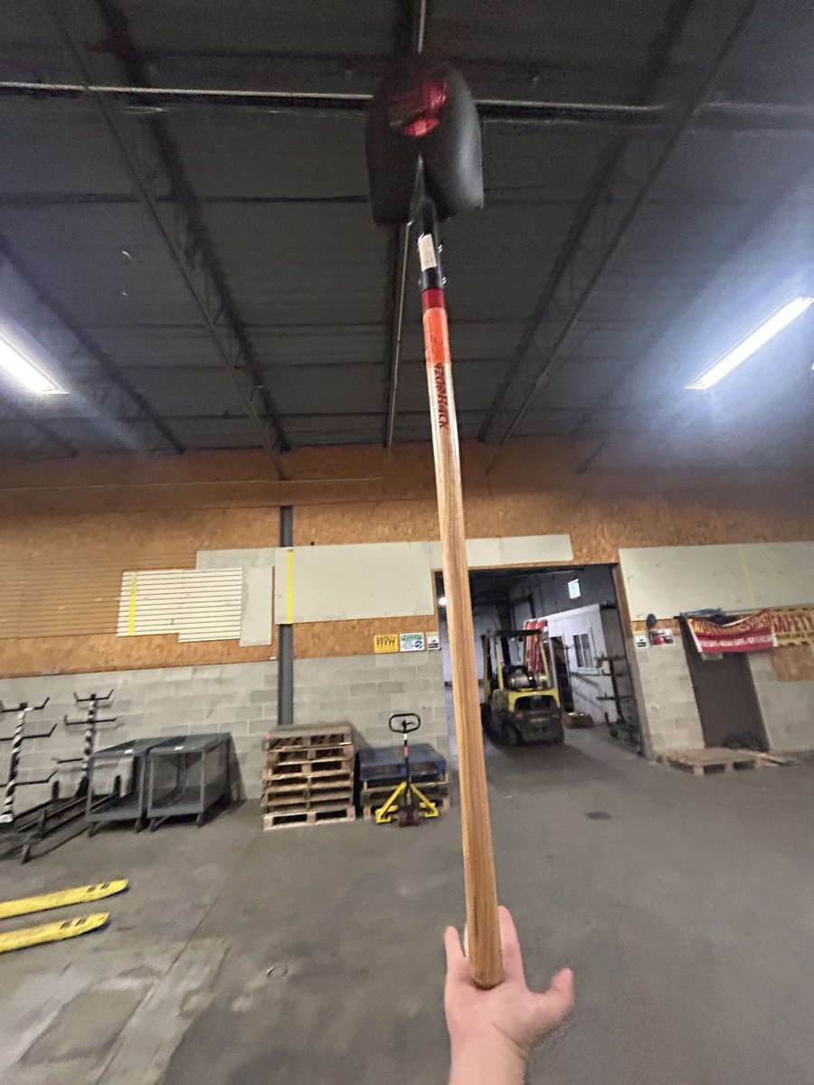 PlainAmerican 🌞 tweet media