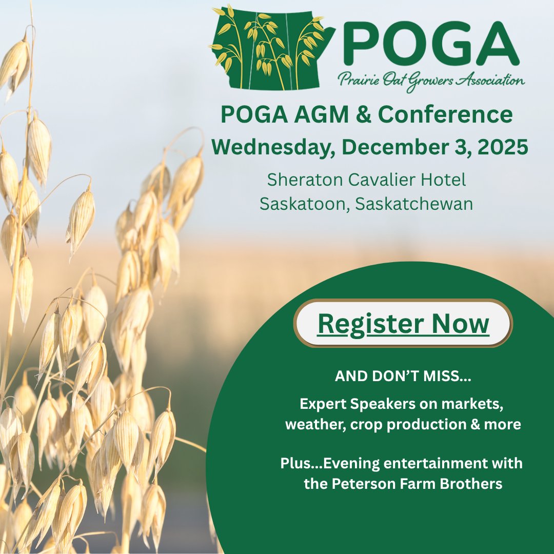 OatGrowers's tweet photo. The Prairie Oat Growers Association (POGA) 2025 AGM & Conference is happening December 3, 2025 at the Sheraton Cavalier Hotel in Saskatoon, Saskatchewan.
https://t.co/hyeCdU0jsC
Registration closes November 27 at noon.
https://t.co/KxMLwnfHYc
#POGA #OatIndustry #AgConference https://t.co/of1oWnqm53