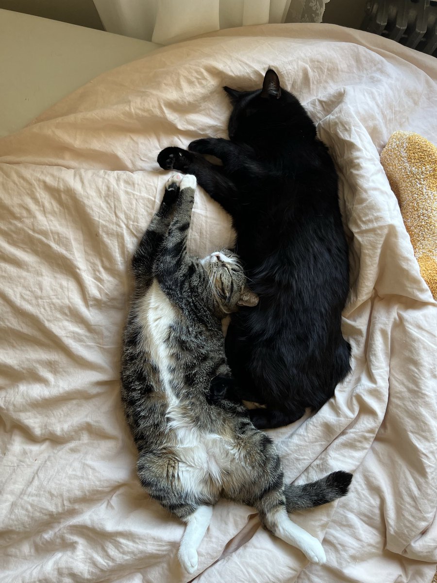 go forth my beloved Dookie and Toot…