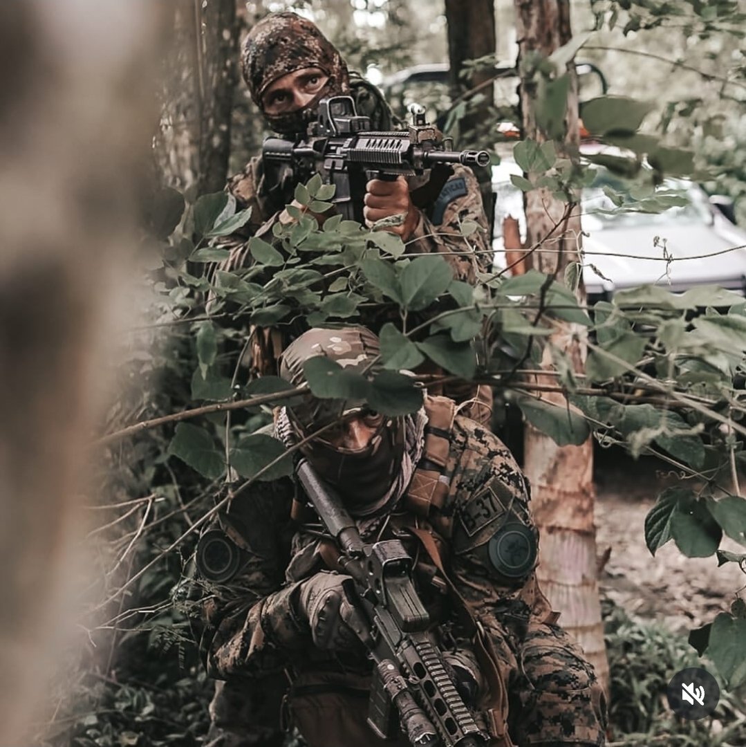 sejadita_verdad's tweet image. 🚨 #OperaçãoContenção

As forças de segurança agiram com estratégia e precisão! 💪
O BOPE já estava posicionado na mata 🌳, antecipando a fuga dos criminosos — como de costume.

Dessa vez, deram de cara com o Batalhão de Operações Especiais. ⚔️
O resultado… todos já sabemos.…