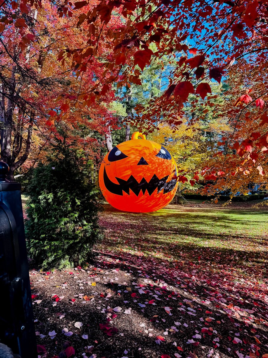 This past weekend, a group of BNH employees took part in the yearly Runaway Pumpkin 5K, helping kick off Pumpkin Fest in Laconia. The event raised funds to benefit the WOW Trail a paved rail trail in the City of Laconia enjoyed by bikers, walkers, and runners of all ages.