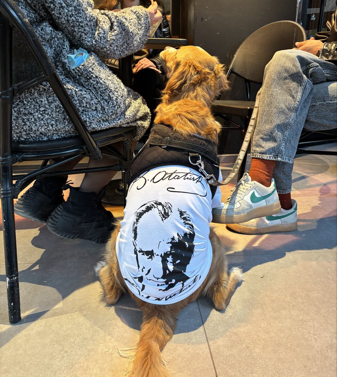 Laik atak (her canli )