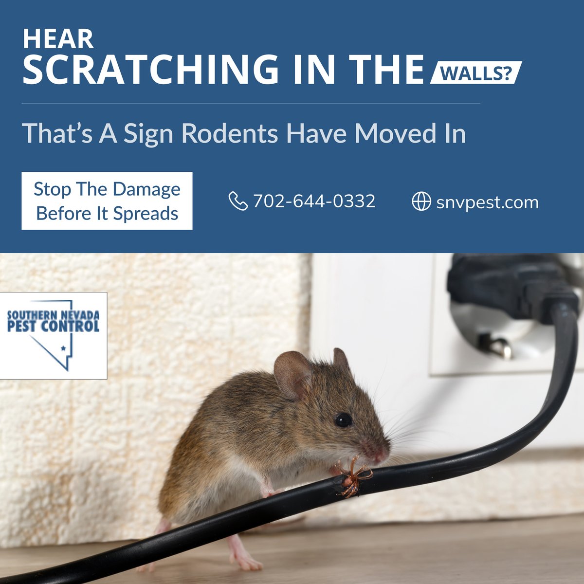 SNVPest's tweet image. ⚠️ Rodents making a mess in your home?
We&apos;ll stop them in their tracks and keep your property safe! 🐭🔨

Act NOW before they cause more damage!
📞 Call Immediately: 702-644-0332
🌐 Visit: snvpest.com

#RodentExtermination #PestControlExperts
