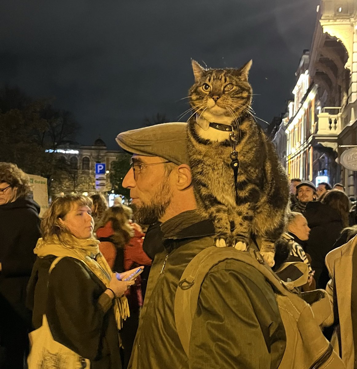 IngaSPR's tweet image. Pat kaķiem viss skaidrs #protests