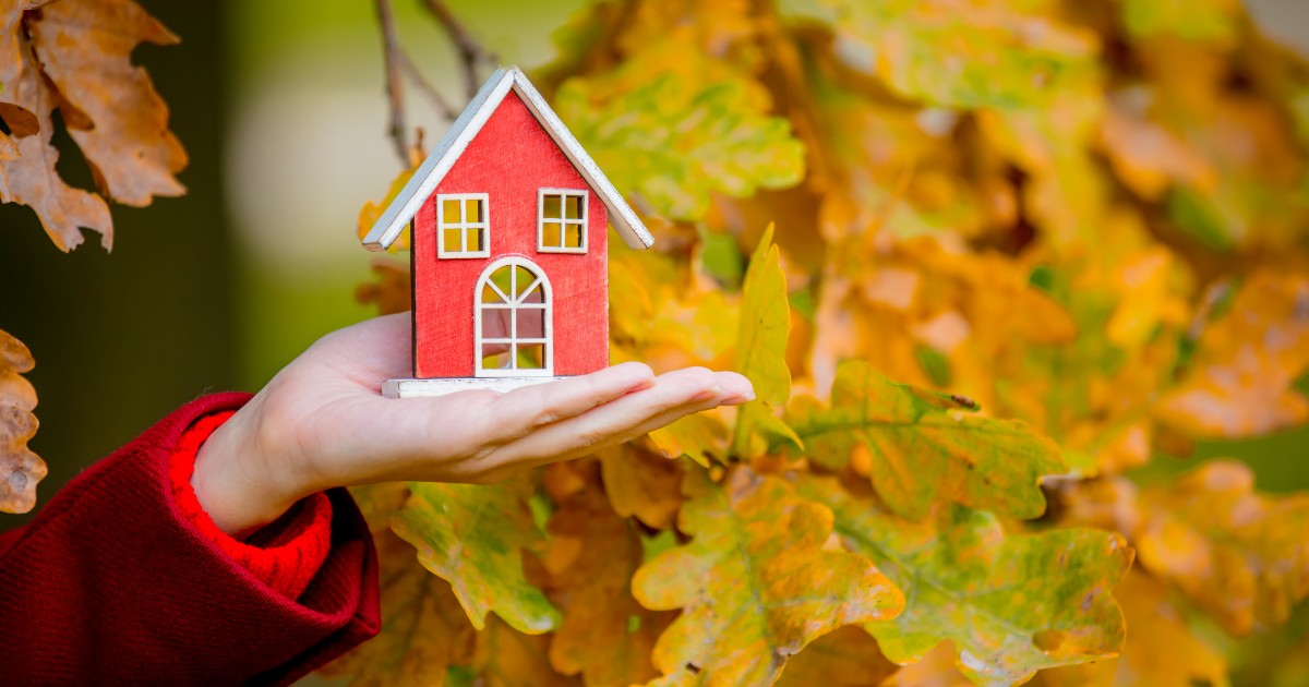 Window Coverings tweet media