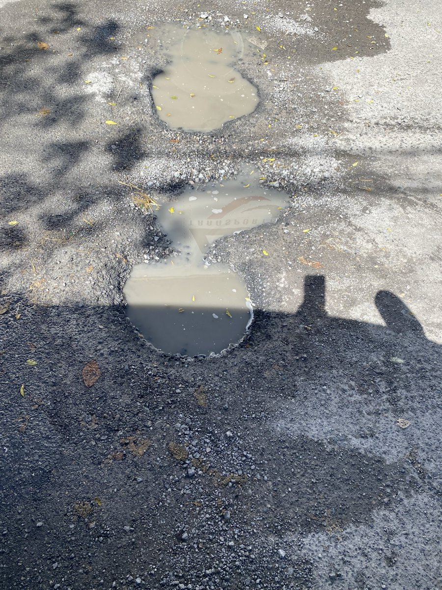 patyrk's tweet photo. @CICsal se reportaron desde principios de septiembre y cada vez se hacen más profundos calle 4 entre Boulevard Morelos y calle 13 col Morelos son varios que están a lo largo de la calle https://t.co/pRLfyGUEaP