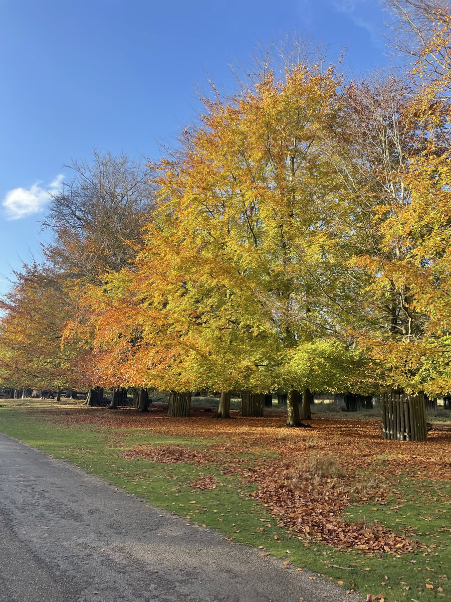 Mrs Spicer tweet media