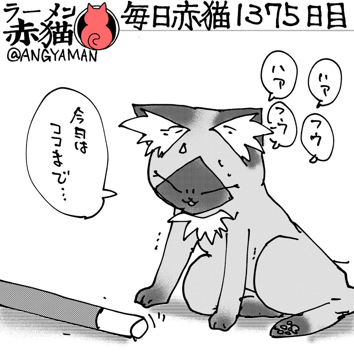 日課にしたいとは思ってます…
#ラーメン赤猫 #ジャンププラス
169杯目 https://t.co/cjtpt90QzV 