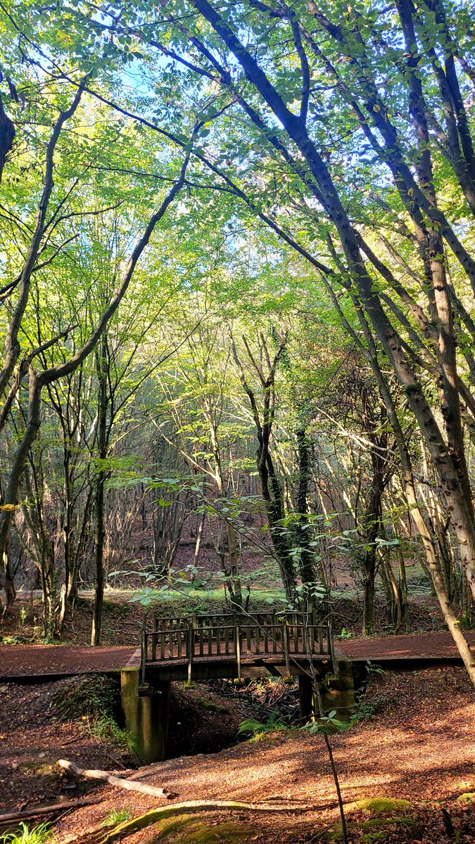 "Gurur, o görkemli kuş, kanatlarını tekrar, göğsünün kırılacağını hissedene kadar çırptı."