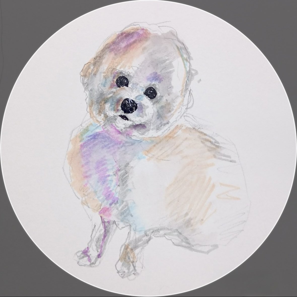 #新しいプロフィール画像
헤달(<a href="/haedal_sunmoon1/">해달</a>)さんに描いていただきました🫶🏻