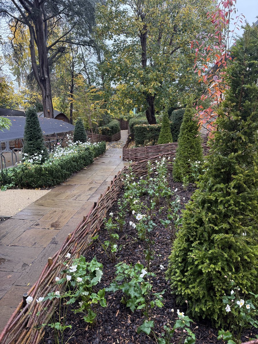 Louis Macklin tweet media