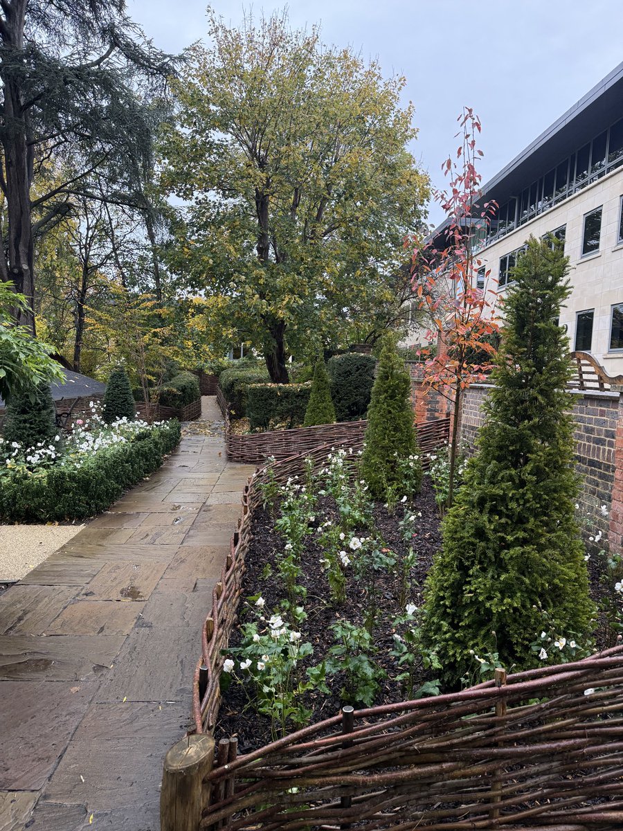 Louis Macklin tweet media