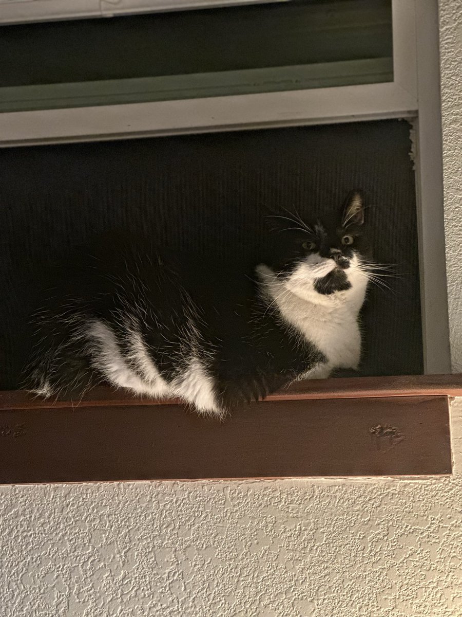 He’s gonna tell you a spooky ghost story round the camp fire