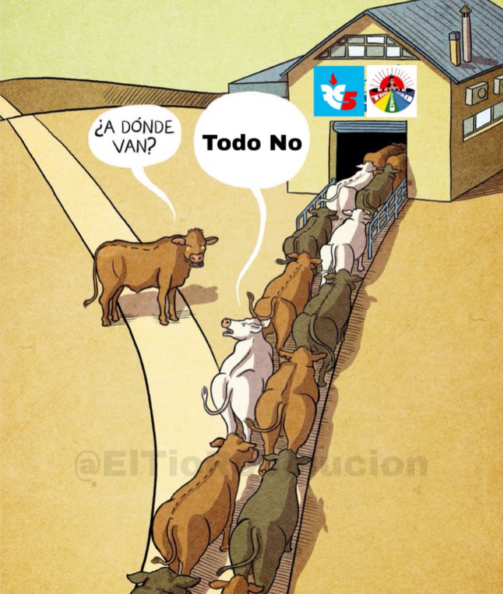 TheVerdugoEc's tweet photo. Yendo a su propia perdición. https://t.co/uQM8pF16P5