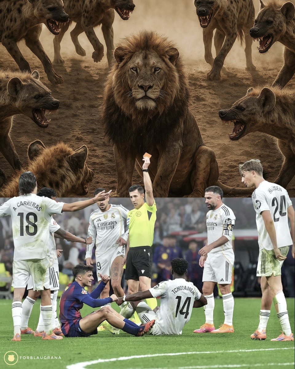 forblaugrana's tweet photo. 📸| A whole club of hyenas obsessed with the best midfielder in the world. https://t.co/LpRJ6fYjIP