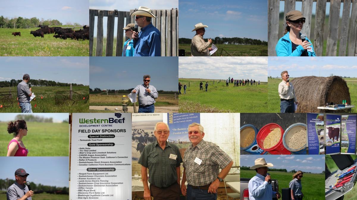 DrBart_Beef's tweet image. #WesternBeefDevelopmentCentre #AppliedBeefForageResearch #TermuendeResearchRanch #TrainingAgStudents #AgExtension #LardnerLab @BeefResearch @GraemeFinn1 @agbiousask @SKAgriculture @albertabeef @MBBeefandForage @SaskCattlemens @forageandbeefresearch