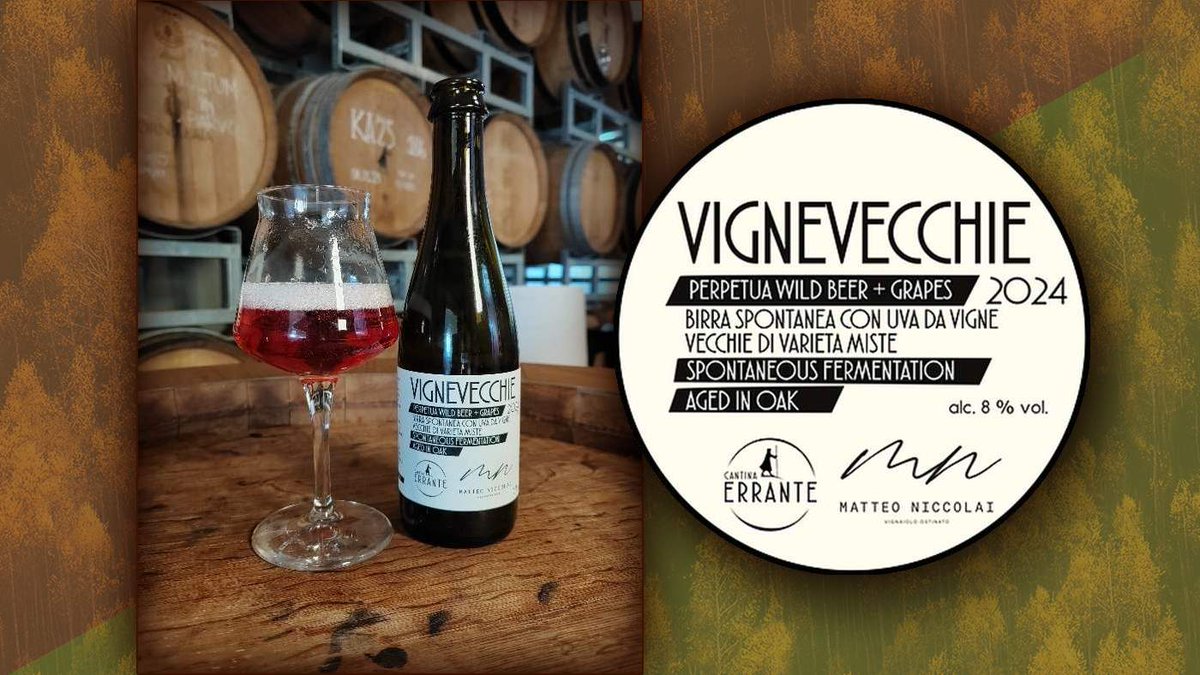 🍷🍺 #Vignevecchie 2024 unisce birra spontanea e #Sangiovese di #Bolgheri. Elegante, fresca, e 100% naturale.
🧐Scopri la storia dietro il progetto di #CantinaErrante e il vignaiolo #MatteoNiccolai: pintamedicea.com/birra/2025/vig…