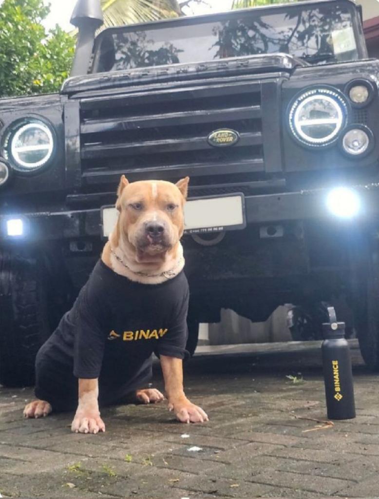 <a href="/BinancePk/">Binance Pakistan 🇵🇰</a> Pıt 🐕💪