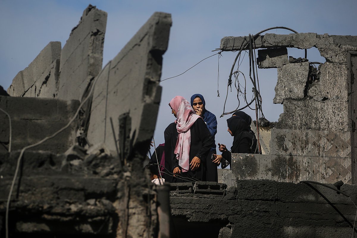 TIMES OF GAZA tweet media