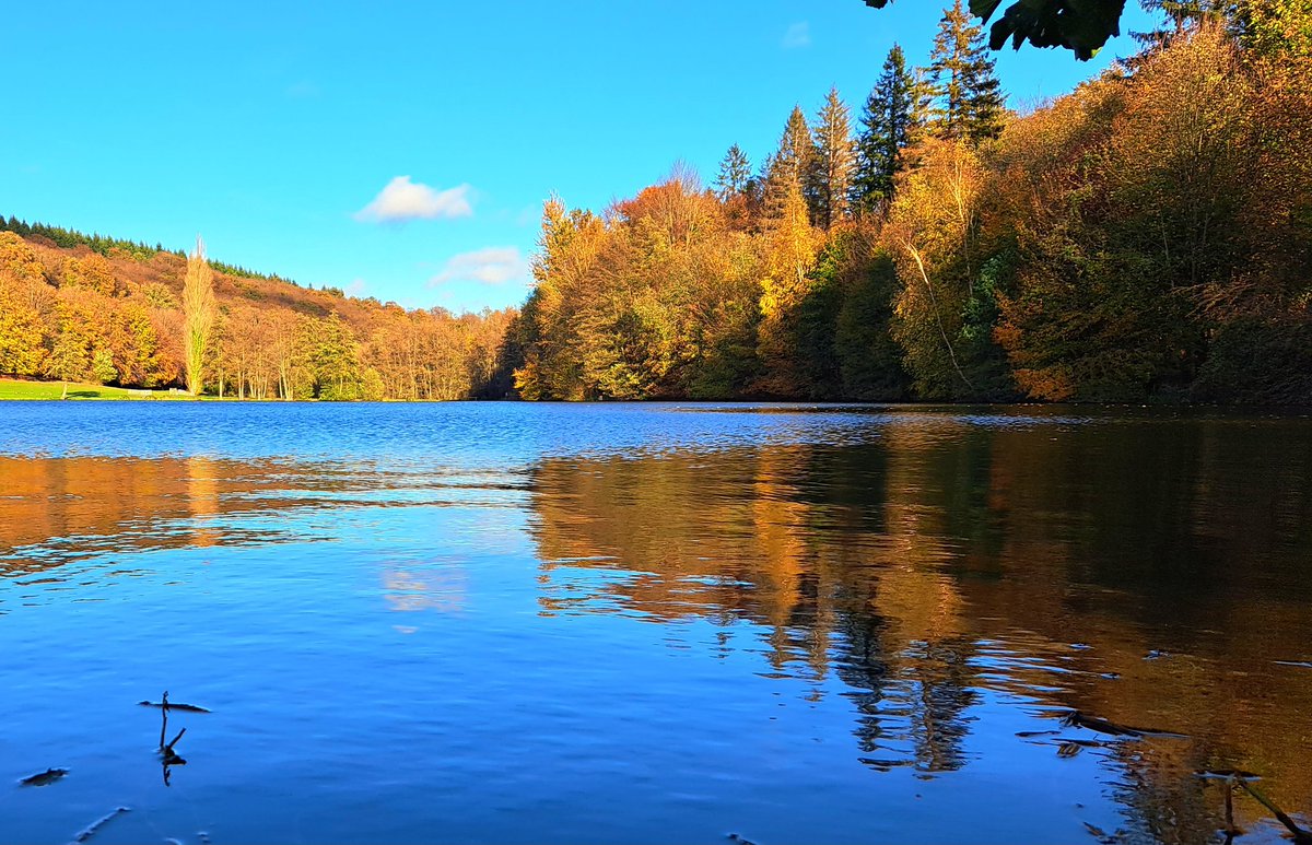 Voyage au Québec pour admirer l'été indien en émettant 3 tonnes de CO2 ?

Non, non, petit détour en forêt de Lyons 😁