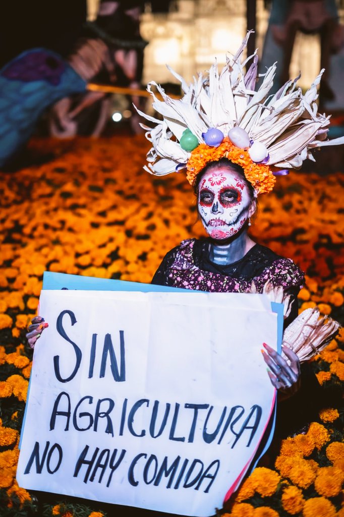 Mr_Civico's tweet photo. 🇲🇽 🌾 Las mujeres son parte importante en el sector agrario y también están en la lucha , mujeres que sostienen el campo, no dejemos morir al agricultor mexicano🫰🏻

El maíz es nuestra raíz, nuestra identidad y nuestra soberanía , el arte y la cultura se fusionan en la exigencia de apoyo al campo , es una lucha de todos , el campo es vida , defendámoslo.

"El diesel por los cielos, y nuestro maíz por los suelos" 🌽 

Desde la capital del país alzan la voz por un precio justo para el sector agrario, la lucha la hacemos todos!

(Fotos📣 @Mr_Civico)