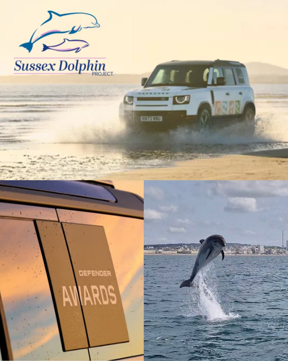SussexDolphin's tweet image. 🐬We’re proud to announce Sussex Dolphin Project has been shortlisted in the Defender Awards.

7 winners will each receive:
🫶£100,000 to boost conservation impact
🛞A Defender vehicle for two years
🤝Expert mentorship to strengthen their mission

landrover.com/defender/defen…