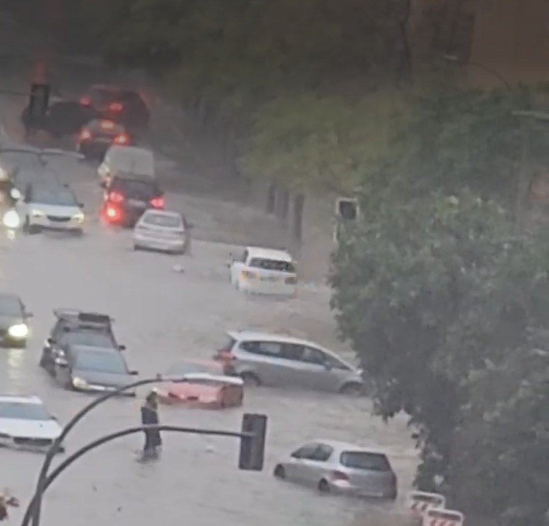 rafaelrumo's tweet photo. Sevilla se ahoga, pero han quitado kms de calzada para un autobús inútil, tenemos ZBE en la Cartuja para que nos crujan a multas, y carril bici donde antes se circulaba con fluidez.

Tu #Agenda2030 de confianza. https://t.co/NktXa6bHwA
