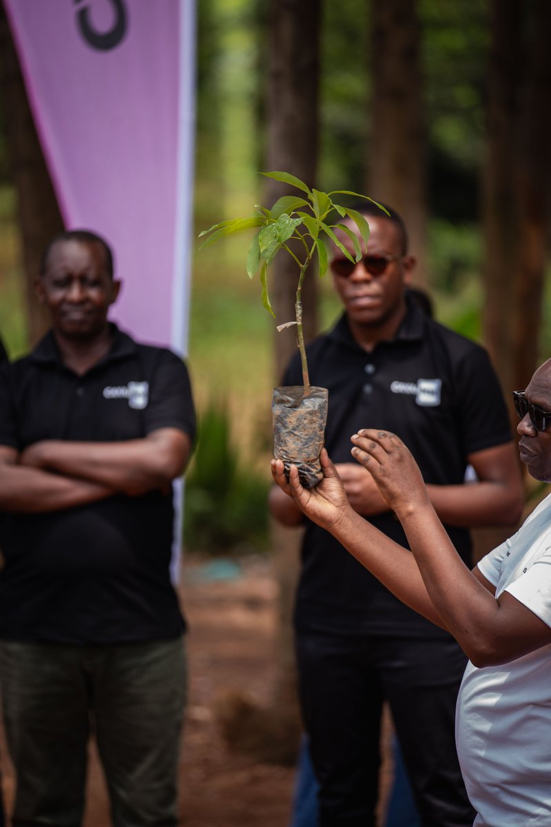 Every seed carries a story, and at #IsaroEconext, we make sure it grows.

From teaching #communities and #students how to plant to tracking each tree’s growth, we believe in lasting change.

We don't plant trees, we grow trees. #Beyondplanting #GreenRwanda