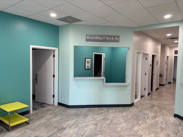 EydeDevelopment's tweet image. Happy National Cat Day!

Today we’re celebrating all our favorite feline friends — and giving a special shoutout to Riverside Cat Hospital, located at Woodland Square in Okemos! Visit them at 2339 Jolly Rd, Okemos, MI 48864.

#NationalCatDay #RiversideCatHospital #LocalBusiness