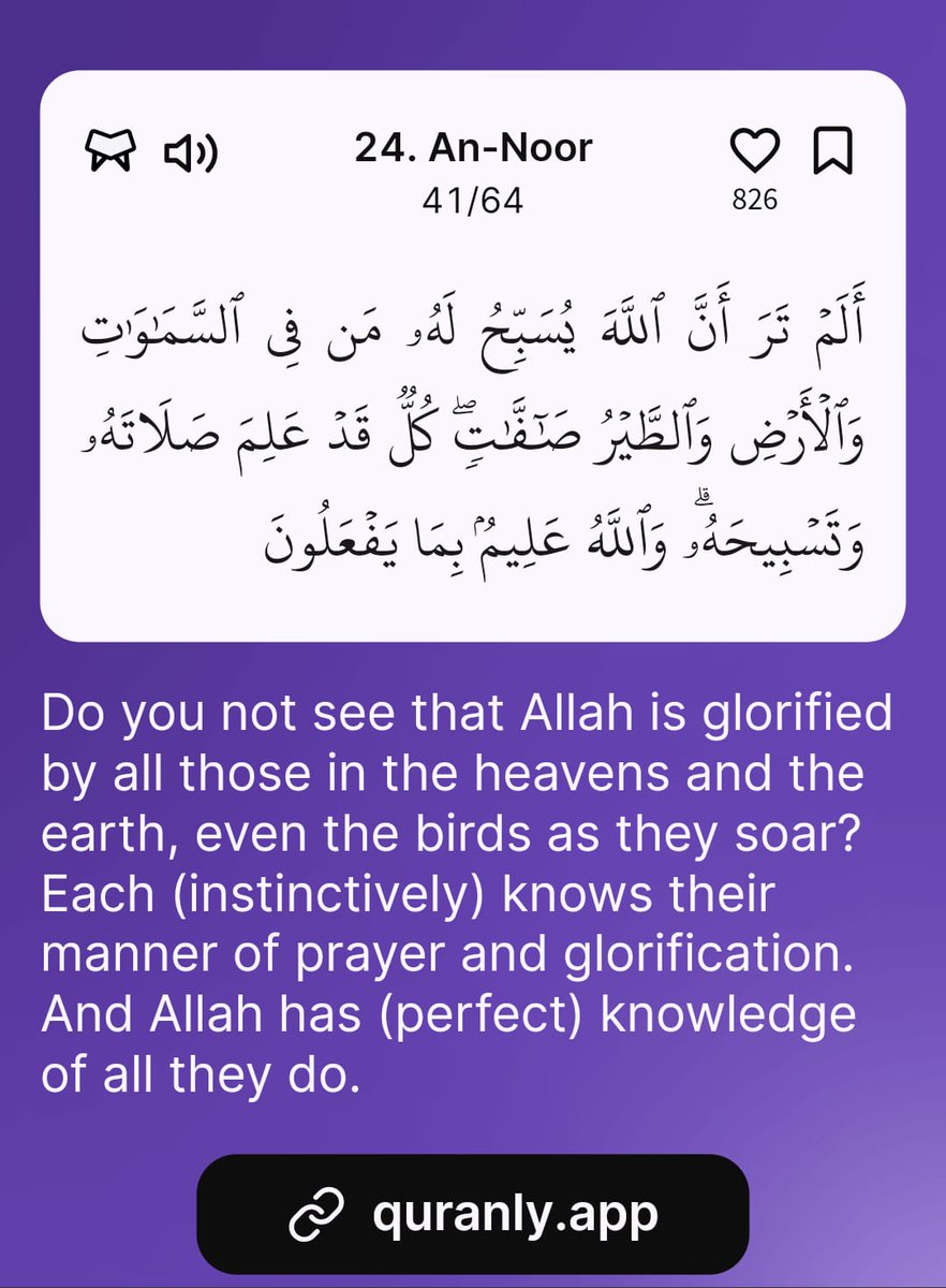 Al_Quraankareem's tweet photo. -Al Qur’aan {24:41}

Download the Quranly App https://t.co/Vnzaidue7n