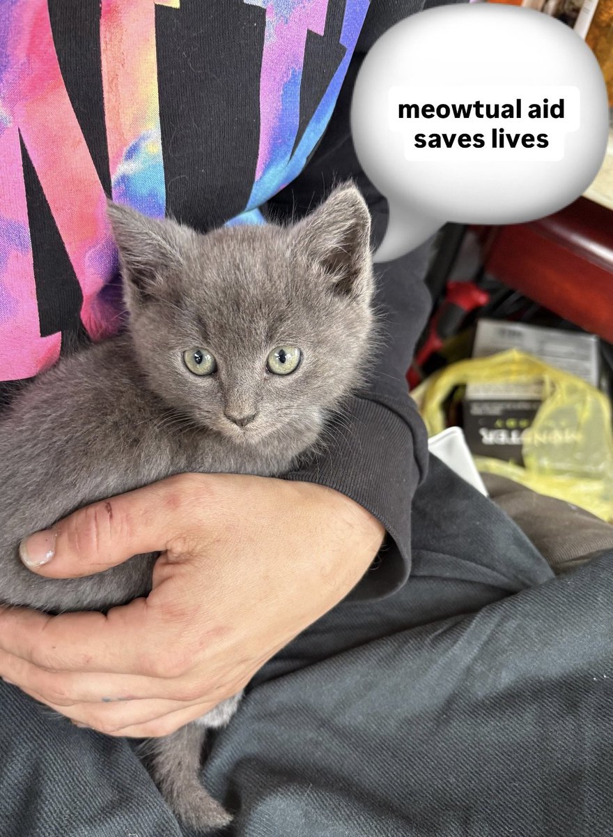 hyperverbal_lee's tweet image. UPDATE 

black disabled couple must pay dialysis fees TOMORROW 

365/1791! let’s keep it going!

1396 remaining means 70 people matching $20 is all we need to close it 
every dollar adds up
and every share counts

memo: 🌸
v: laaylaa-3000
c: v3nusruled
p: layskywalker