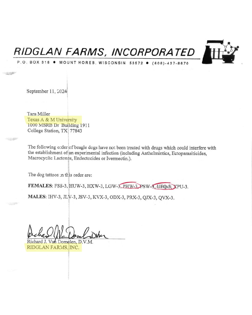 beaglefreedom's tweet photo. ‼️Criminal breeder, Ridglan Farms forced to shut down after hundreds of cruelty violations, but Texas A&amp;M still refuses to release Chami &amp; Felicity, the beagles they bought from this horrific facility💔  

‼️Demand @TAMU release Chami &amp; Felicity now: https://t.co/fijLN5XSib https://t.co/0Kx91KGMn2