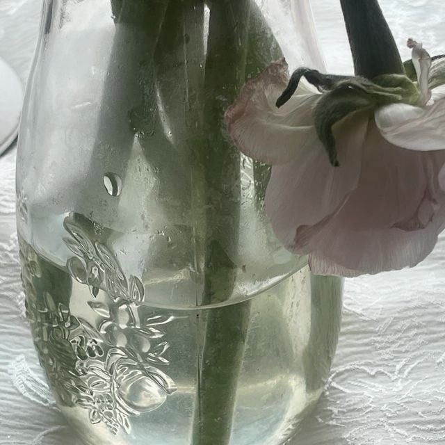 𓂂 ཾ 성li 𓈒 ♡︎ tweet media