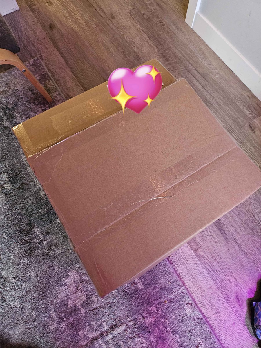 chibi ✩₊˚.⋆🖤⋆⁺₊☾ tweet media