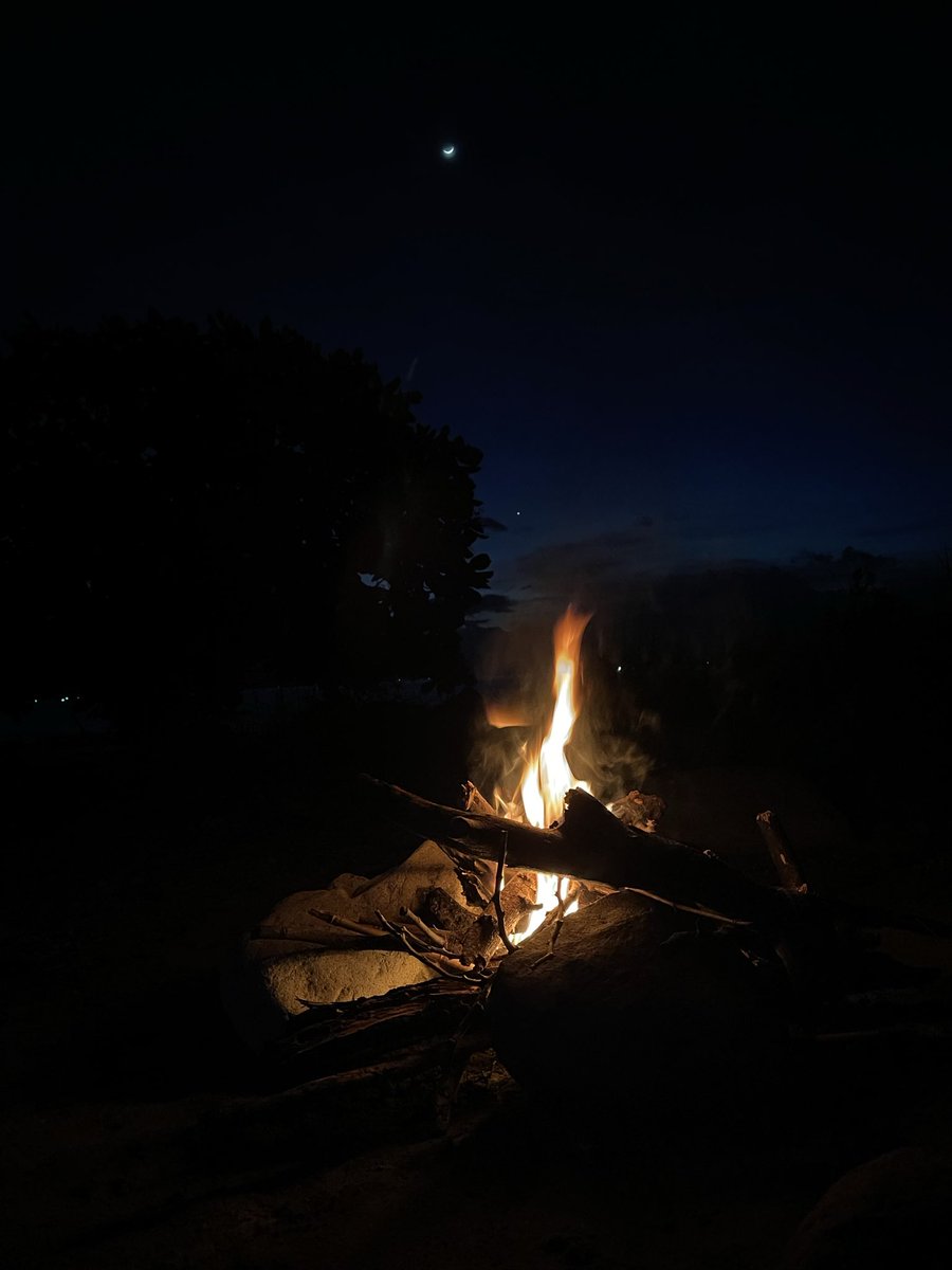 Mango88615045's tweet photo. from night to dawn https://t.co/1OcbjnQ7tN