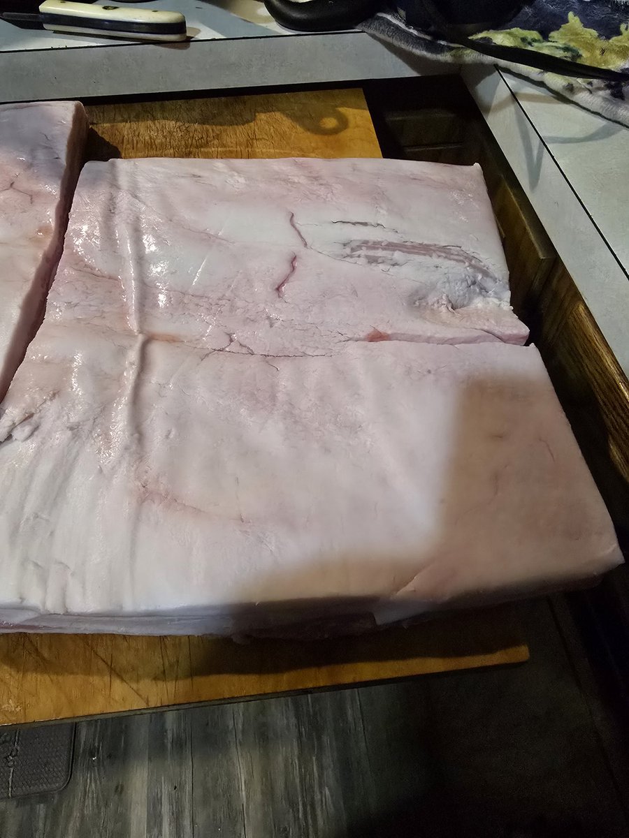 Ardent_Viper tweet media