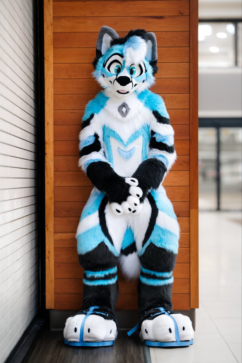 CybrFur's tweet image. Wish I was smol