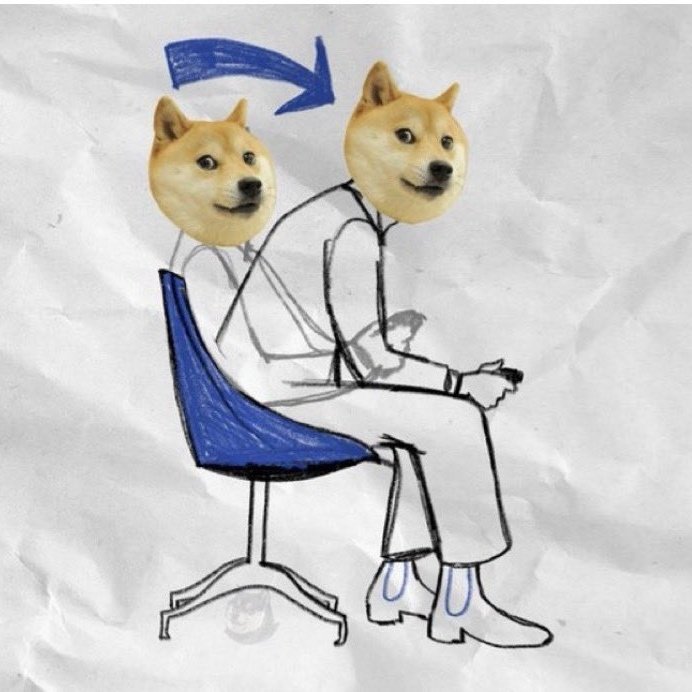X.BTC.DOGE tweet media