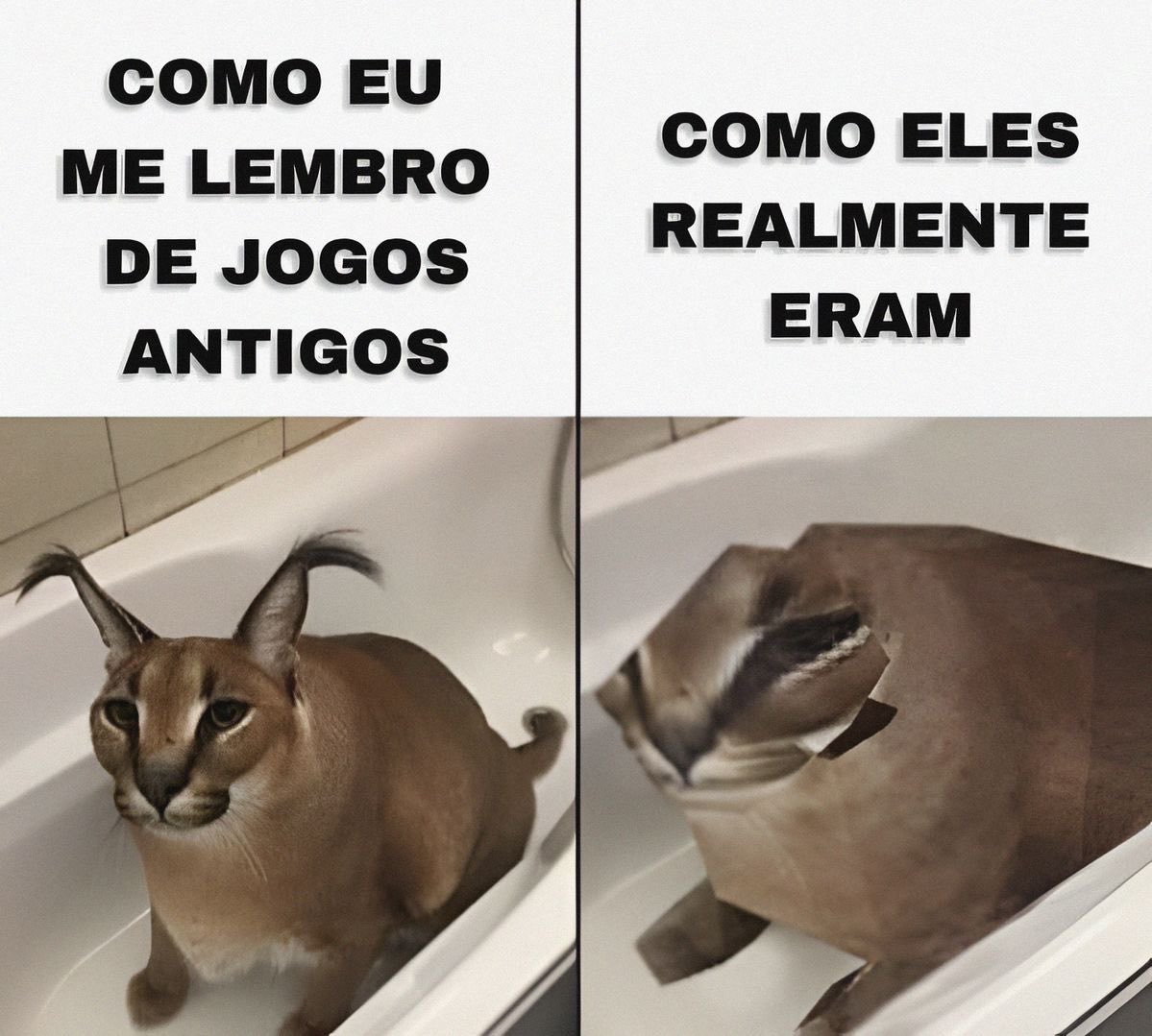 shitpostverdade's tweet photo. https://t.co/0CqVzR1rGW