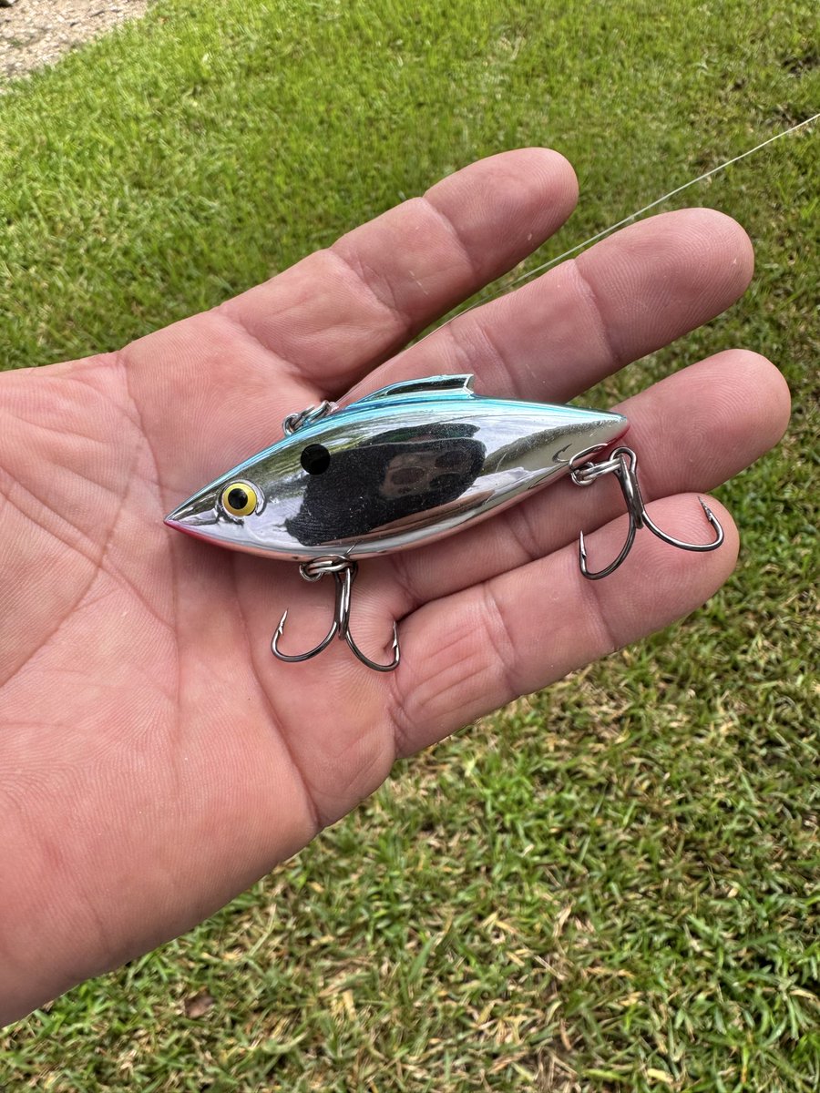 Native Son tweet media