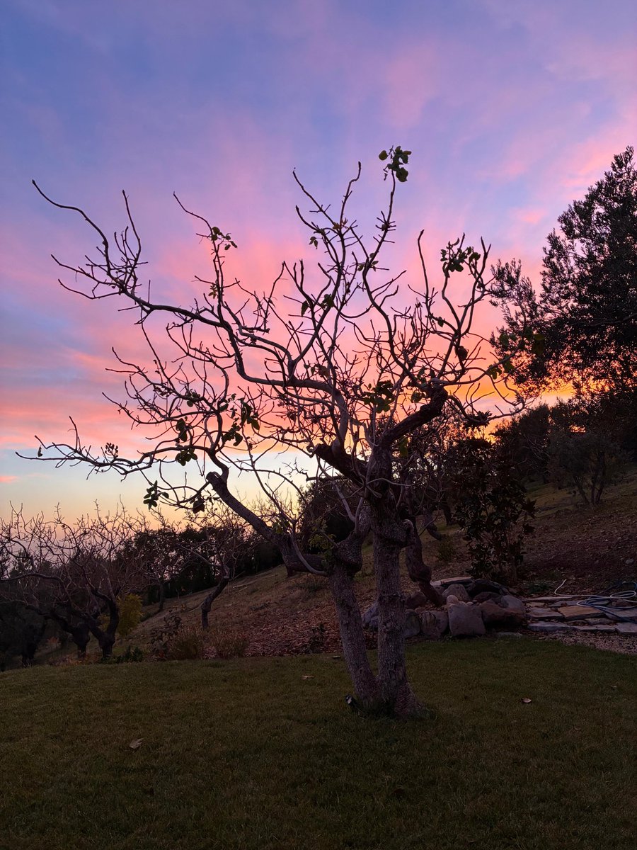 NicheGuys tweet media