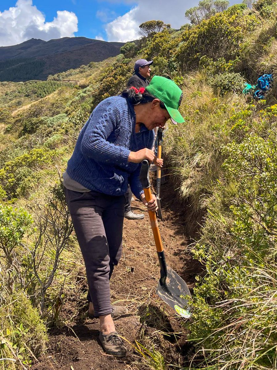 PROGRESO3's tweet image. En Cruz de Piedra – San Miguel de El Faique, continúan construyendo zanjas de infiltración, una práctica que permite asegurar la producción de alimentos durante todo el año.🌱

📍Proyecto Resiliencia, ejecutado por @PROGRESO3  con el apoyo de @BROT_furdiewelt -Pan para el Mundo.