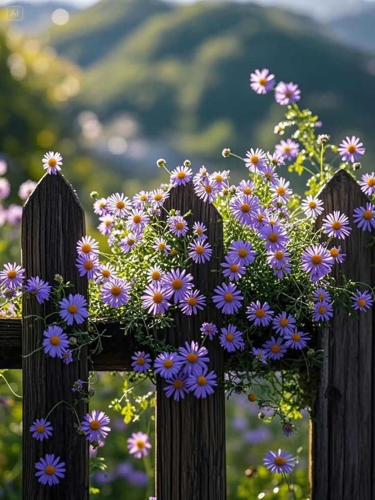 Happiness is being satisfied with the blessings you have and enjoying them.

#WWECrownJewel #etiboykot #Russia #Trump #YoEstoyConIván #IRLARM