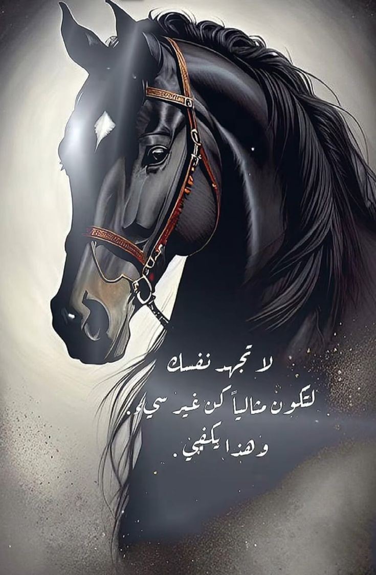 ما بُنيِّ بالود....فُهم بالعقل وقُبل بالقلب.♥️