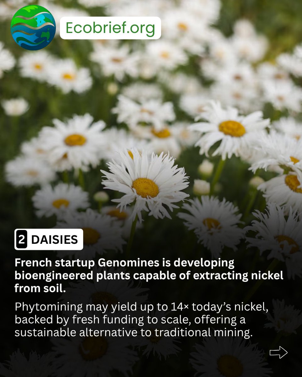 Ecobrief_'s tweet photo. 🚨 In 60 seconds, your weekly climate-tech recap 🚨
.
📧 Subscribe to the newsletter: https://t.co/6eXNPAowVS
.
🧠 On the menu: Renewables > Coal, Daisy mining nickel, Alt‑Protein in EU, CO2 Concrete for buildings
.
#ClimateTech #Energy #UrbanTech #CarbonRemoval #Sustainable https://t.co/THt8phdyWB