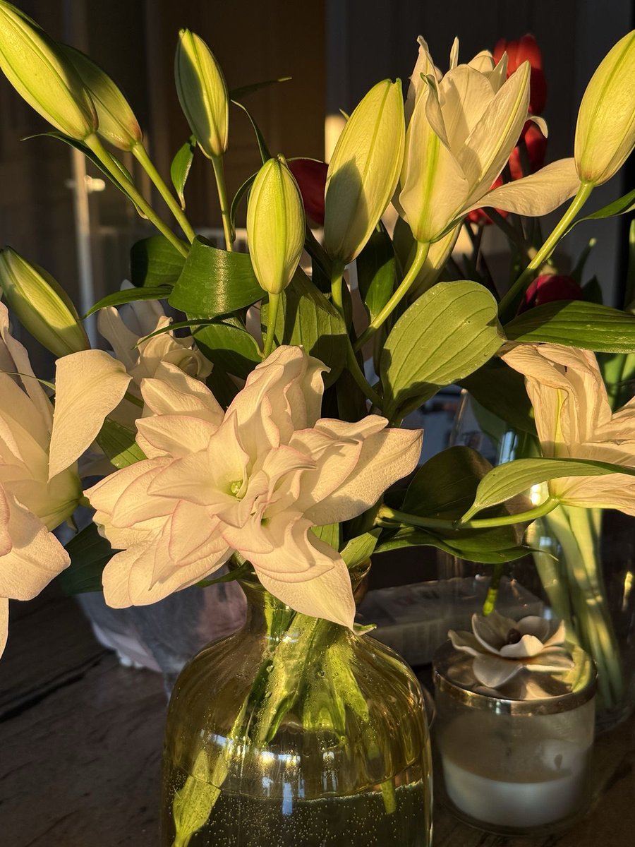 ✮⋆˙ (@dmugg7) on Twitter photo 