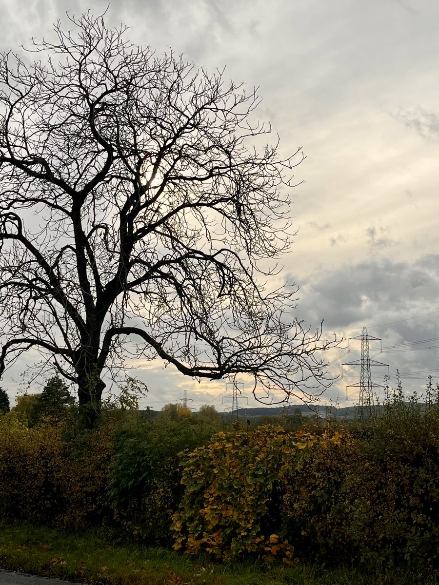 Thur E Mids Weather
A clear and cool start at 6c. Thurs will be a dry day with a good deal of morning sunshine with patchy cloud developing in the pm. Temps in the pm reaching 11c in a mod W wind gusting to 25mph at times. Cloud will build in the eve with rain overnight min 9c!