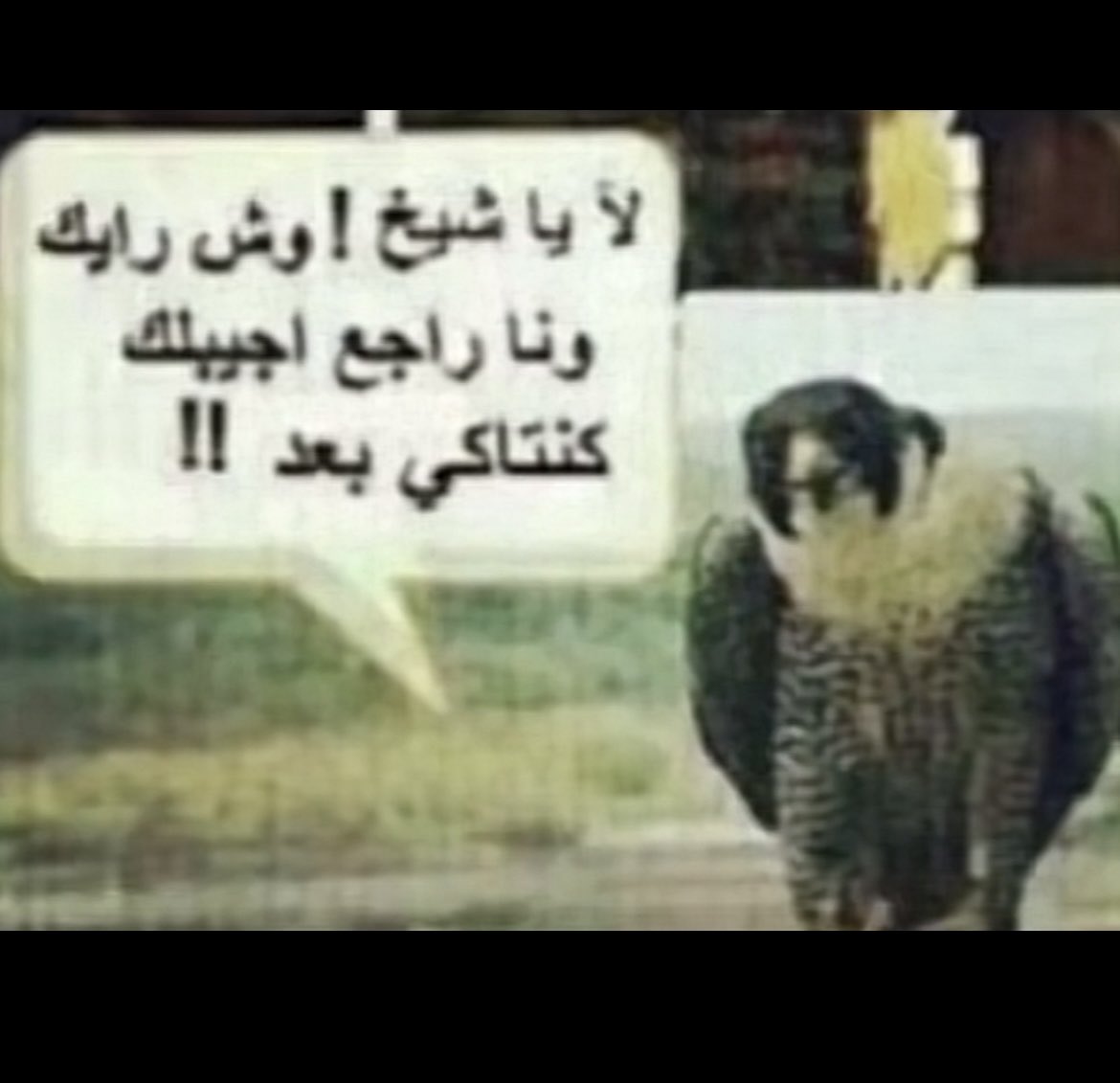 Mohammed Alanazi tweet media