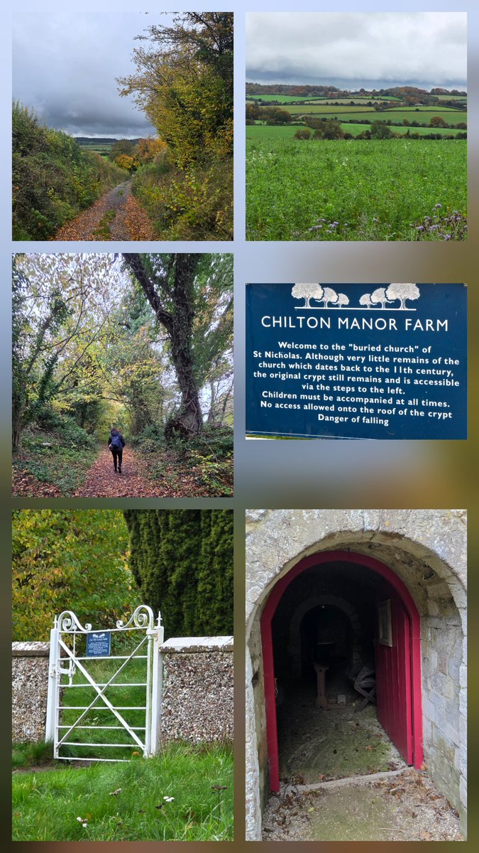 Julie Aris 🇺🇦🇬🇧 tweet media